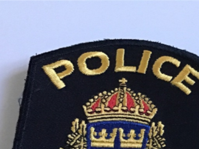 Inspektör med särskild tjänsteställning