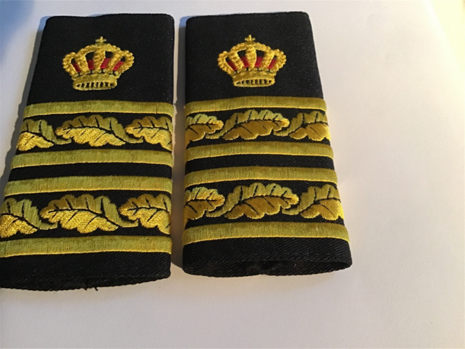 Biträdande länspolismästare utom i Stockholms län, västra Götaland och Skåne. Polismästare, polisöverindendent,rektor på Polishögskolan  och annan enhetschef vid rikspolisstyrelsen.