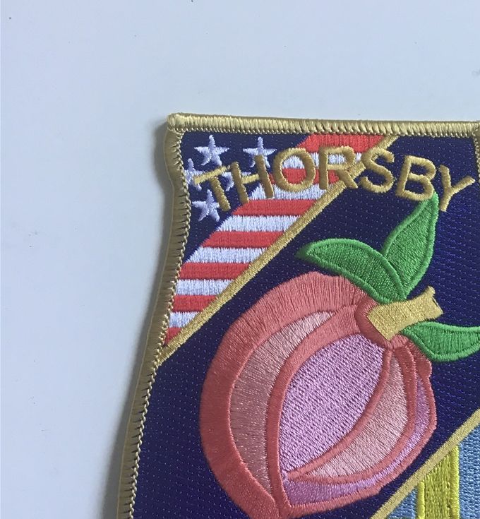 Thorsby började bebyggas av 1865 av tre svenskar, och etablerades 1901 av nordiska invandrare som ursprungligen bosatt sig i New England, men som sökte ett milt klimat och bördig jord för odling av livsmedel. En av de första bosättarna var värmlandsbördige Theodore T. Thorson, som sedermera gav staden dess namn.