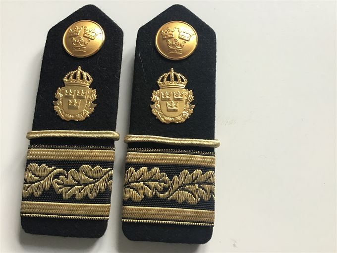 Inspektör med särskild tjänsteställning